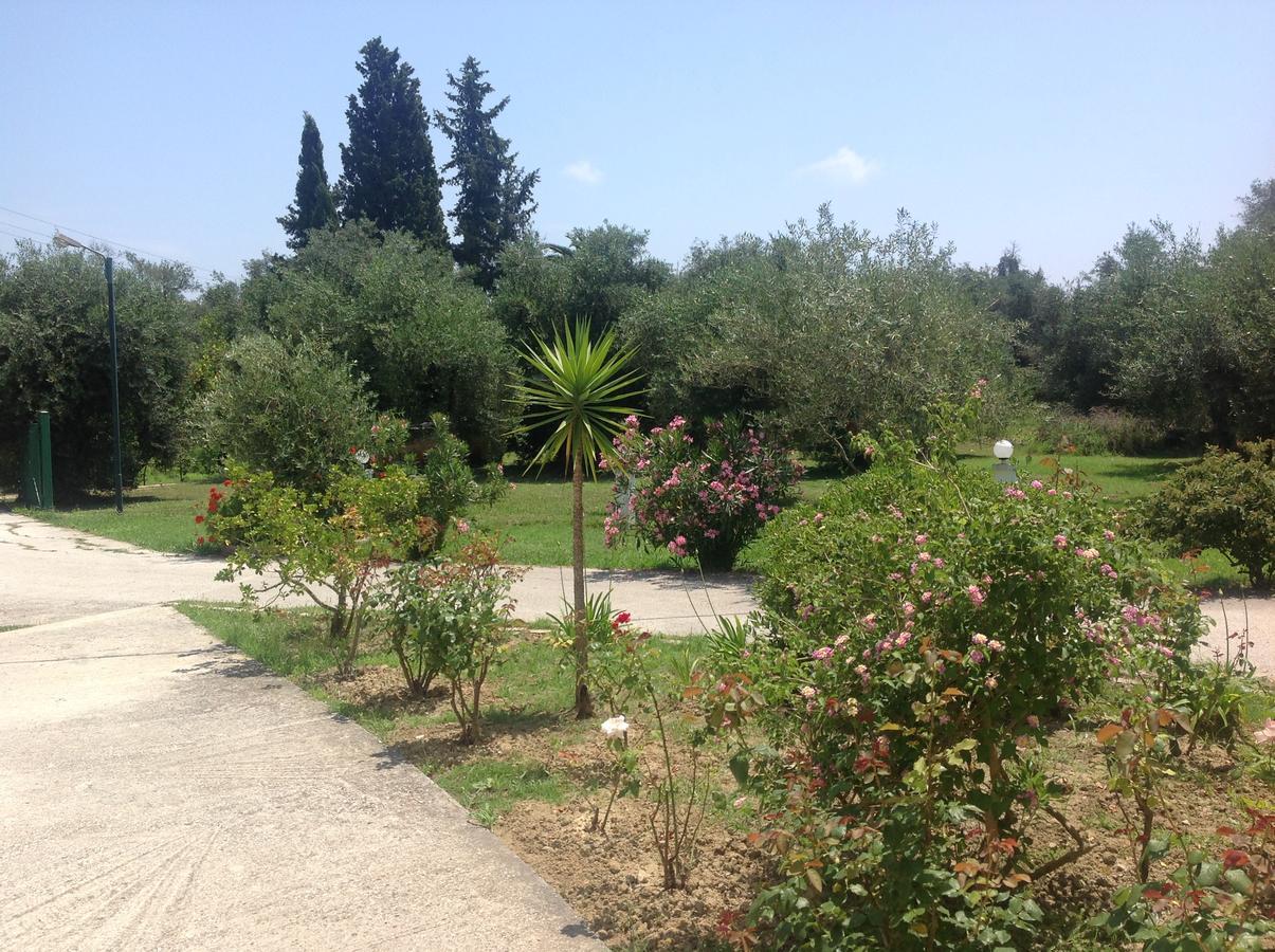 Yianetta Hotel Apartments Kávos Dış mekan fotoğraf